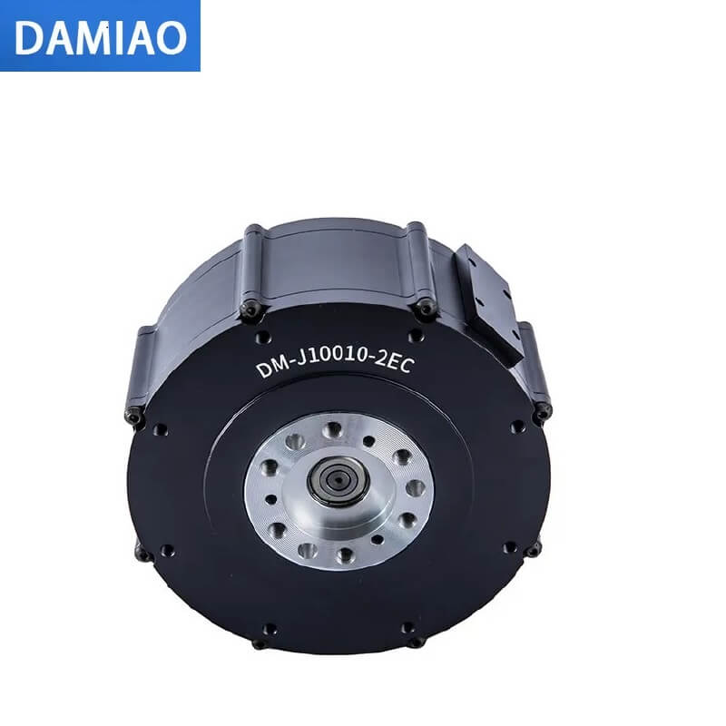 DAMIAO DM-J10010-2EC Motor