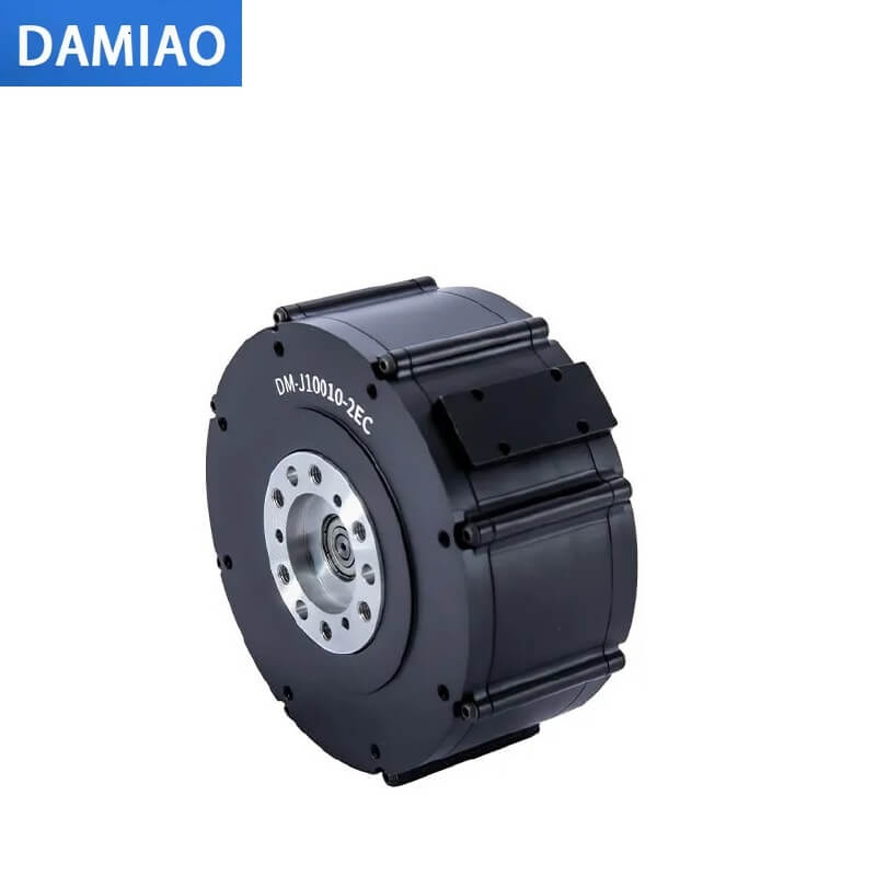 DAMIAO DM-J10010-2EC Motor
