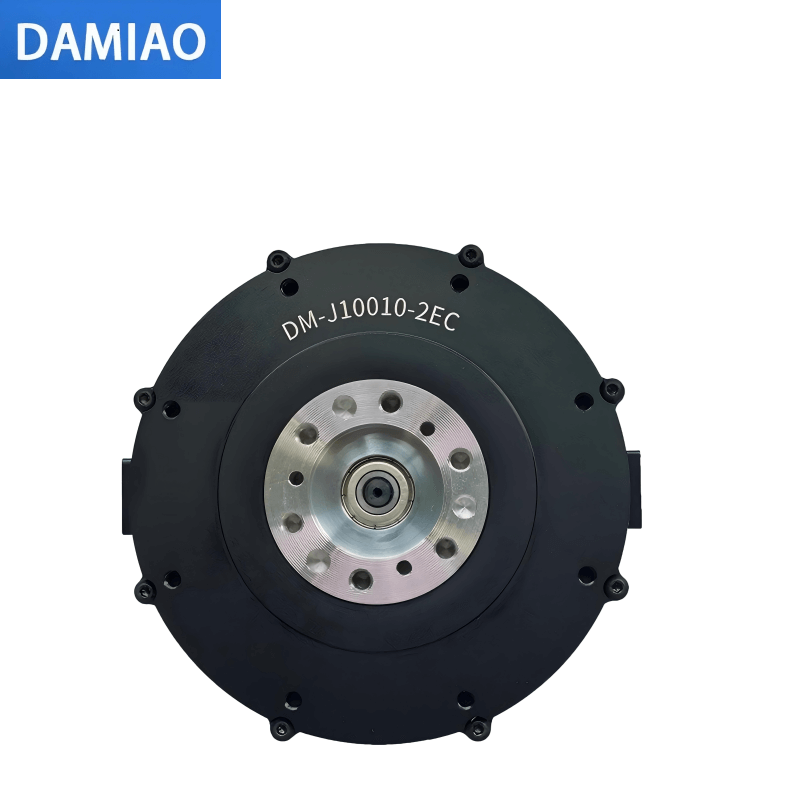 DAMIAO DM-J10010-2EC Motor