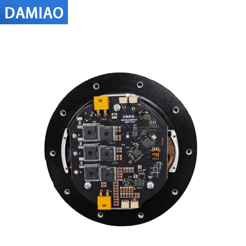 DAMIAO DM-J10010L-2EC Motor