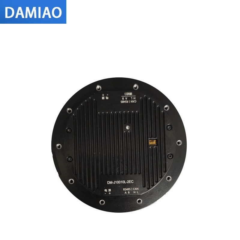 DAMIAO DM-J10010L-2EC Motor