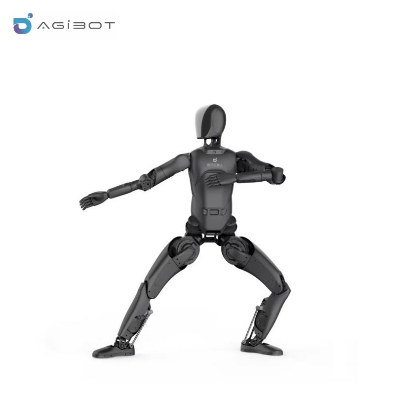 AGIBOT A2 Lite Robot