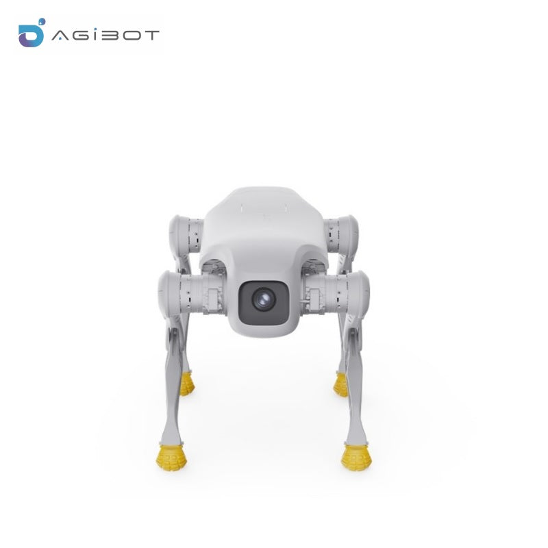 AGIBOT D1 Pro/Edu Robot