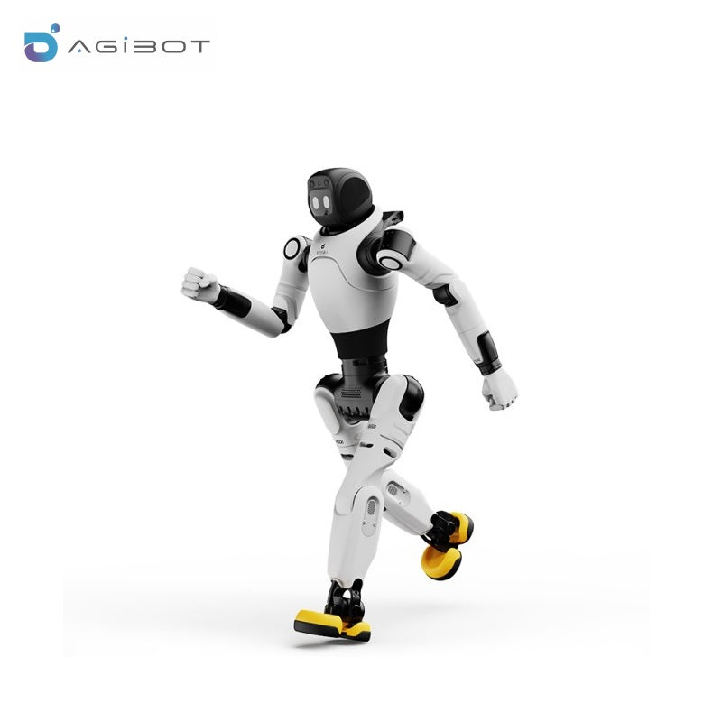 AGIBOT X2 Series Robot
