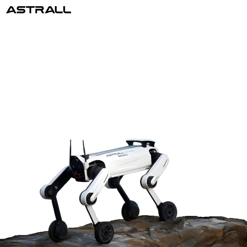 ASTRALL A01 Robot