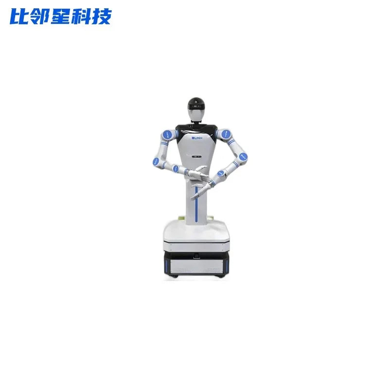 BLINX X1 Humanoid Robot