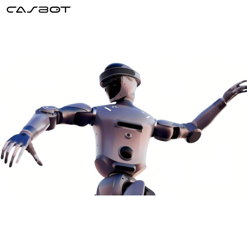 CASBOT 02 Robot