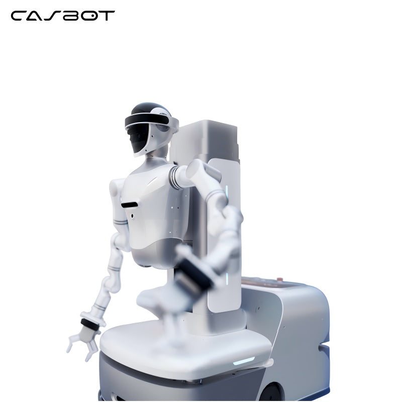 CASBOT W1 Robot