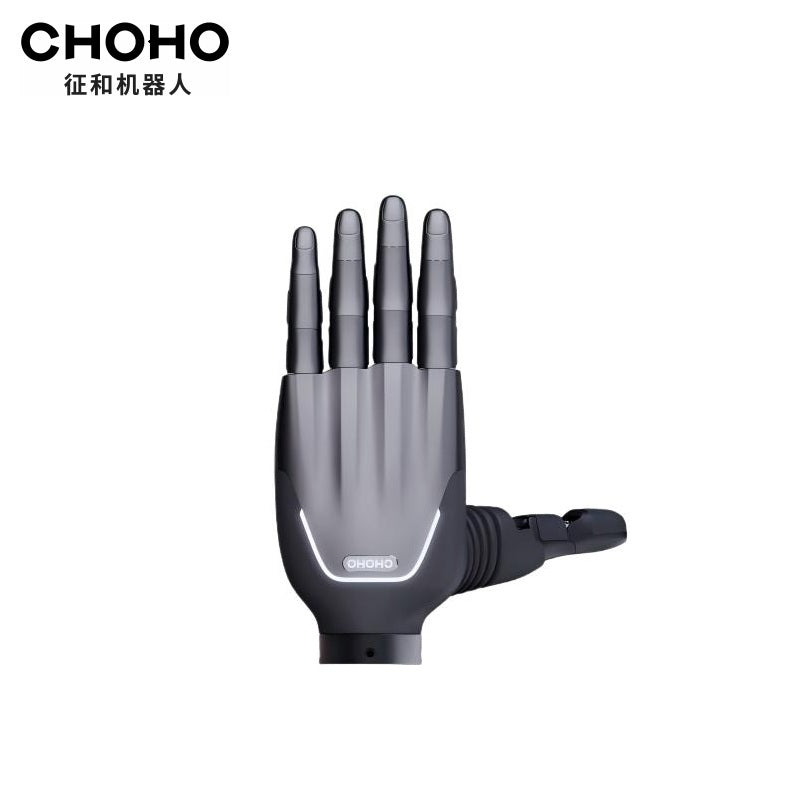 CHOHO Hand