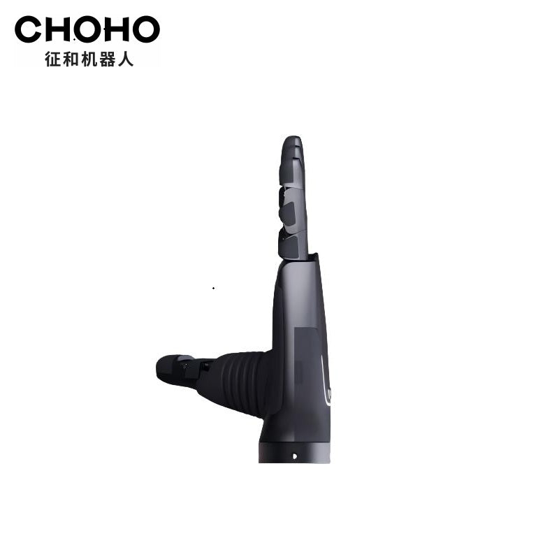 CHOHO Hand
