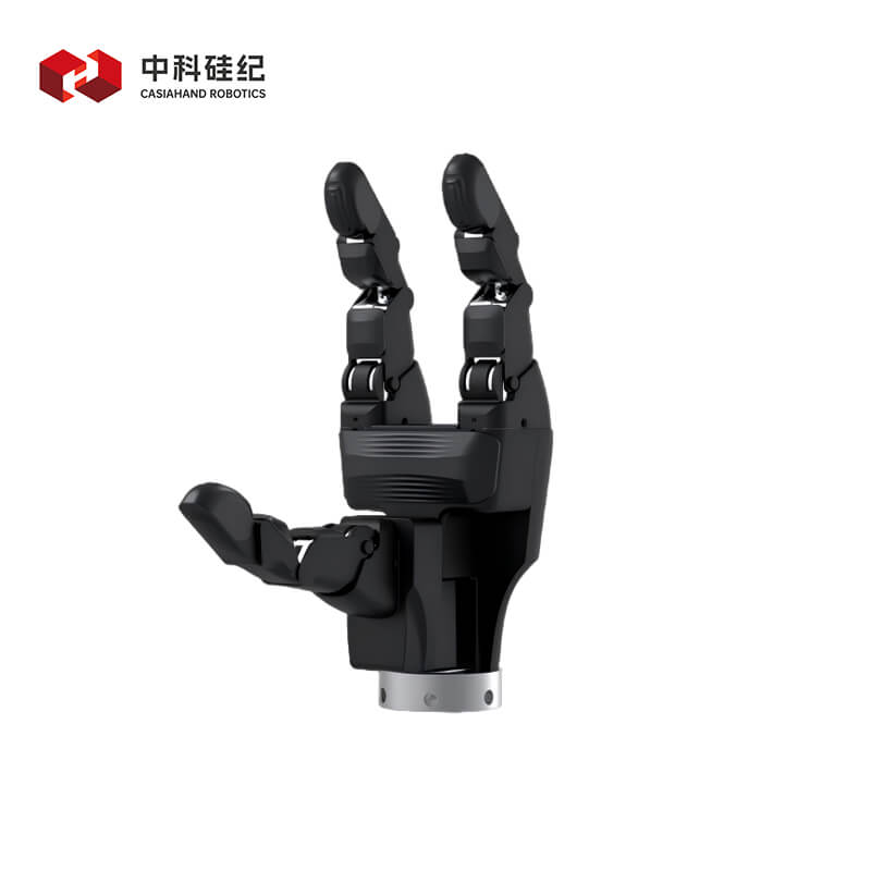 CASIA HAND G
