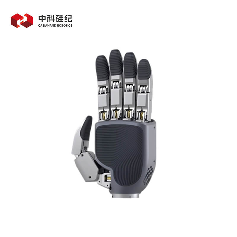 CASIA HAND M