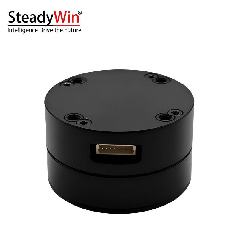 SteadyWin DD4006 Motor