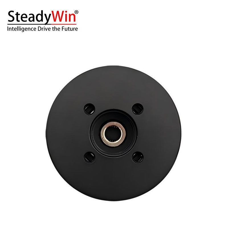 SteadyWin DD4006 Motor