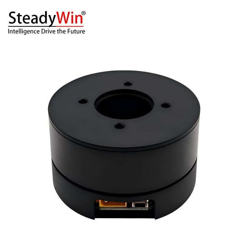 SteadyWin DD6015 Motor