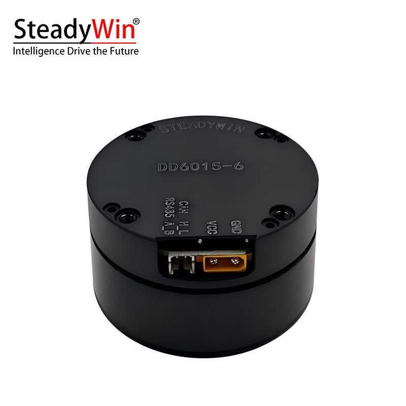 SteadyWin DD6015 Motor