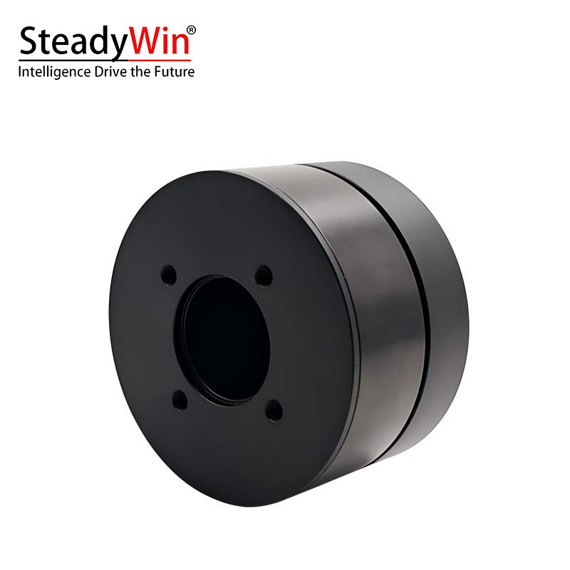 SteadyWin DD6015 Motor