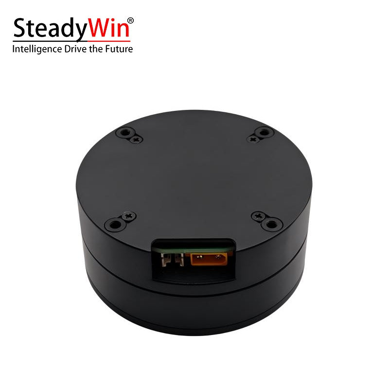 SteadyWin DD7010 Motor