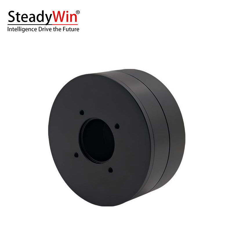 SteadyWin DD7010 Motor