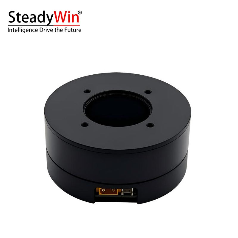 SteadyWin DD8015 Motor