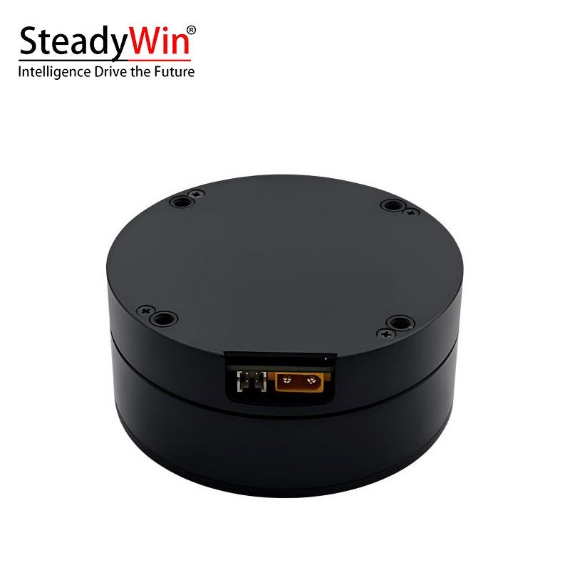 SteadyWin DD8015 Motor