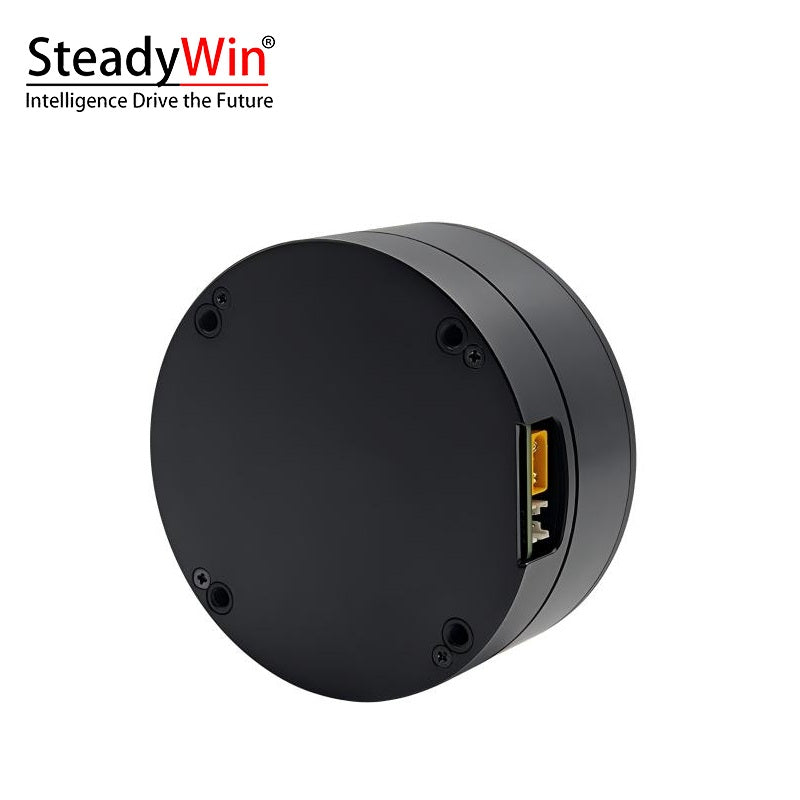 SteadyWin DD8015 Motor