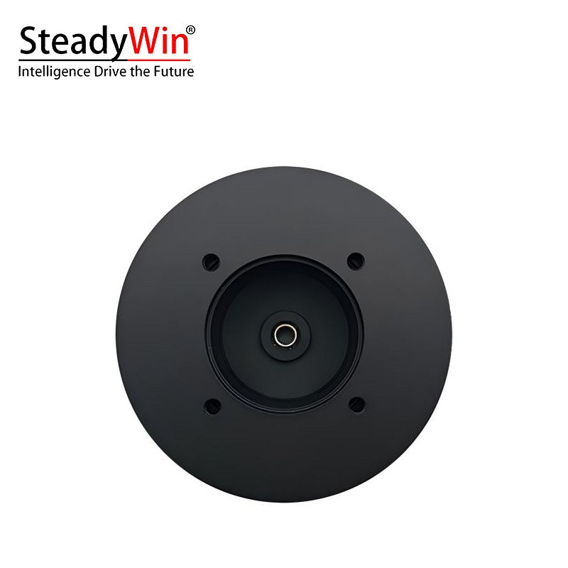 SteadyWin DD8015 Motor