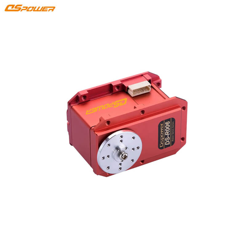 DSpower DS-R006 Servo Motor