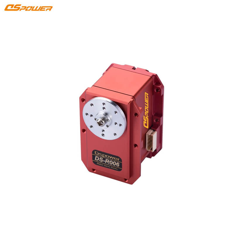 DSpower DS-R006 Servo Motor