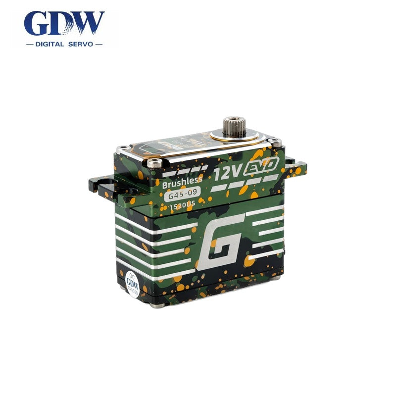 GDW G45 Servo Motor