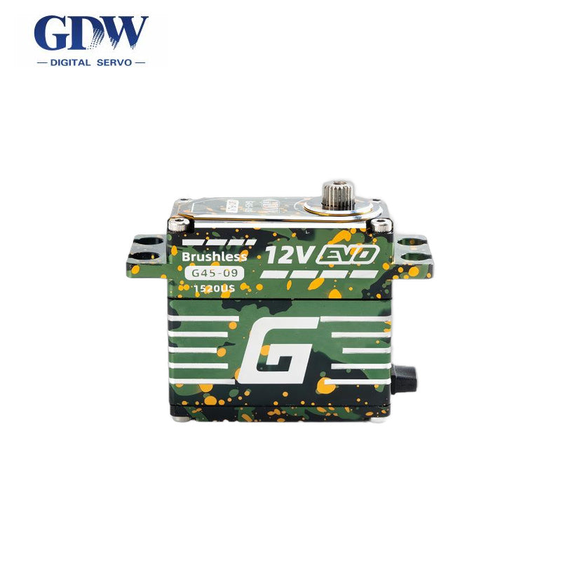 GDW G45 Servo Motor