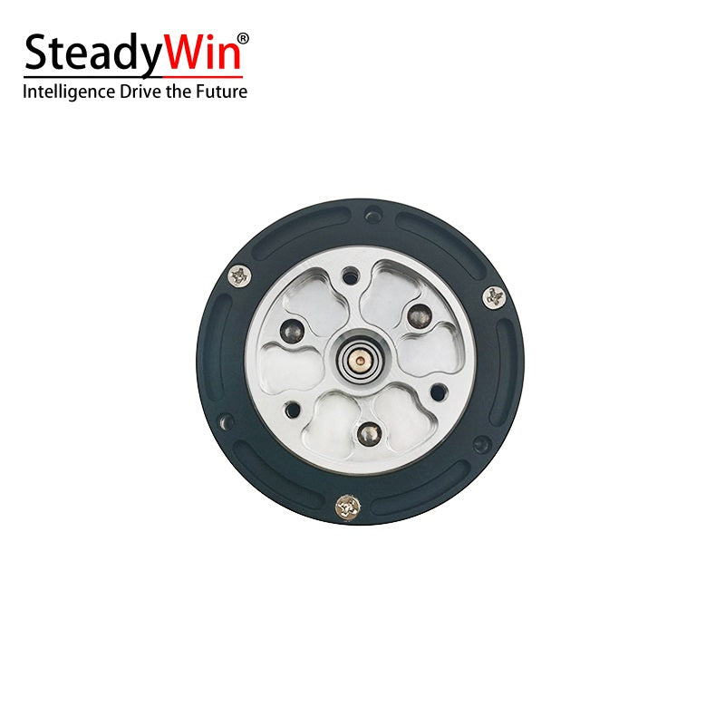 SteadyWin GIM4305-10 Planetary Reducer Motor