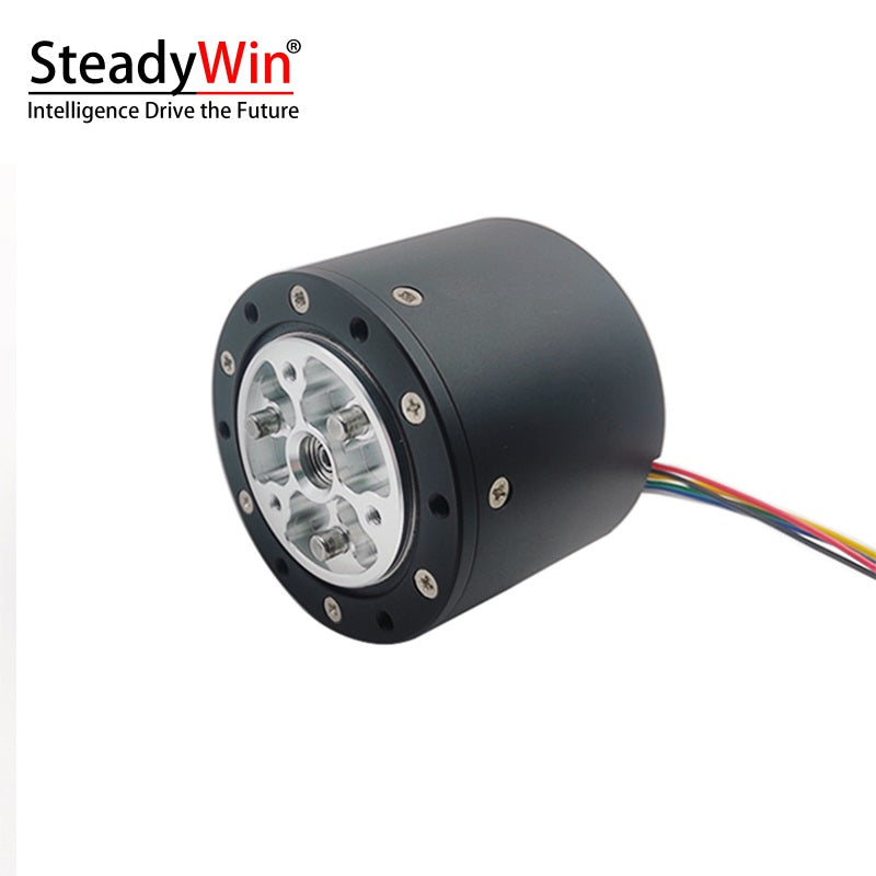 SteadyWin GIM4310-36 Planetary Reducer Motor