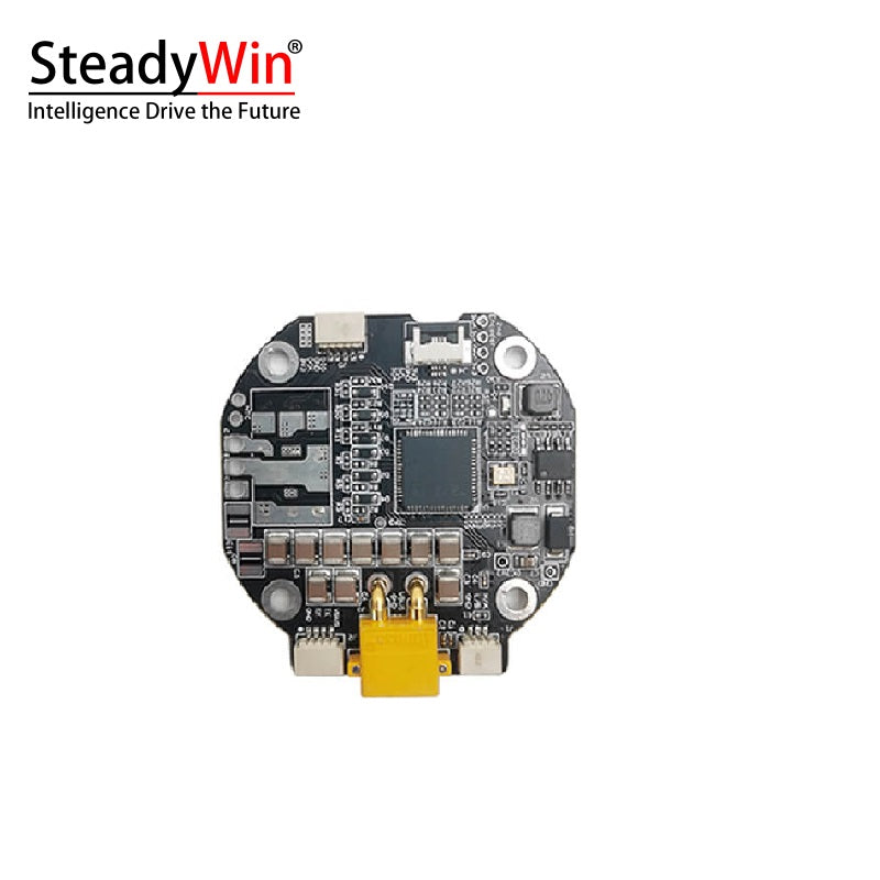 SteadyWin GIM6010-36 Planetary Reducer Motor