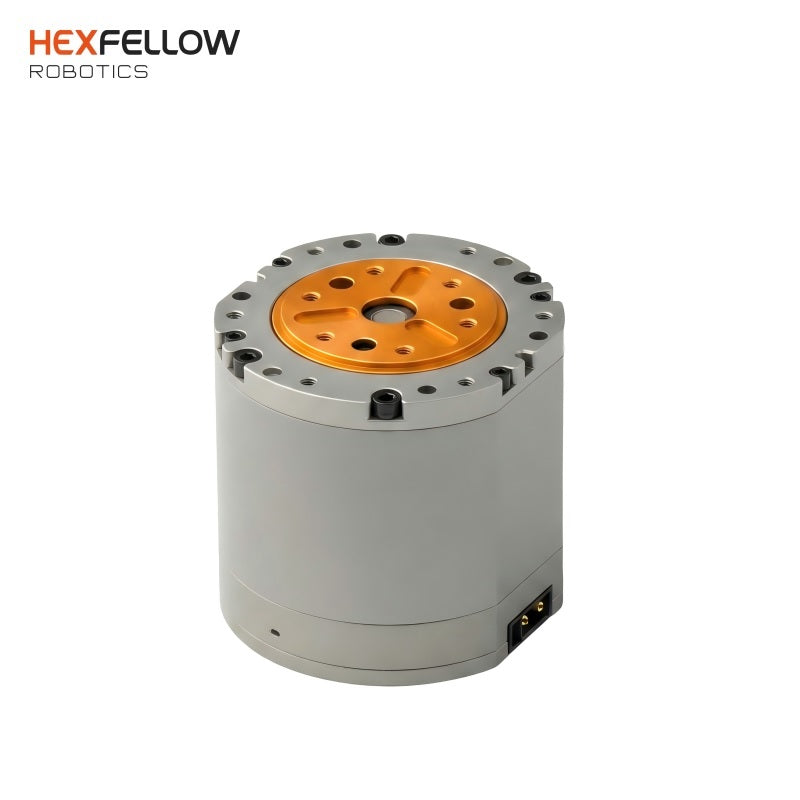 HexFellow HEXMOTOR 4342P Motor