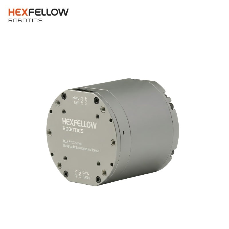 HexFellow HEXMOTOR 4342P Motor