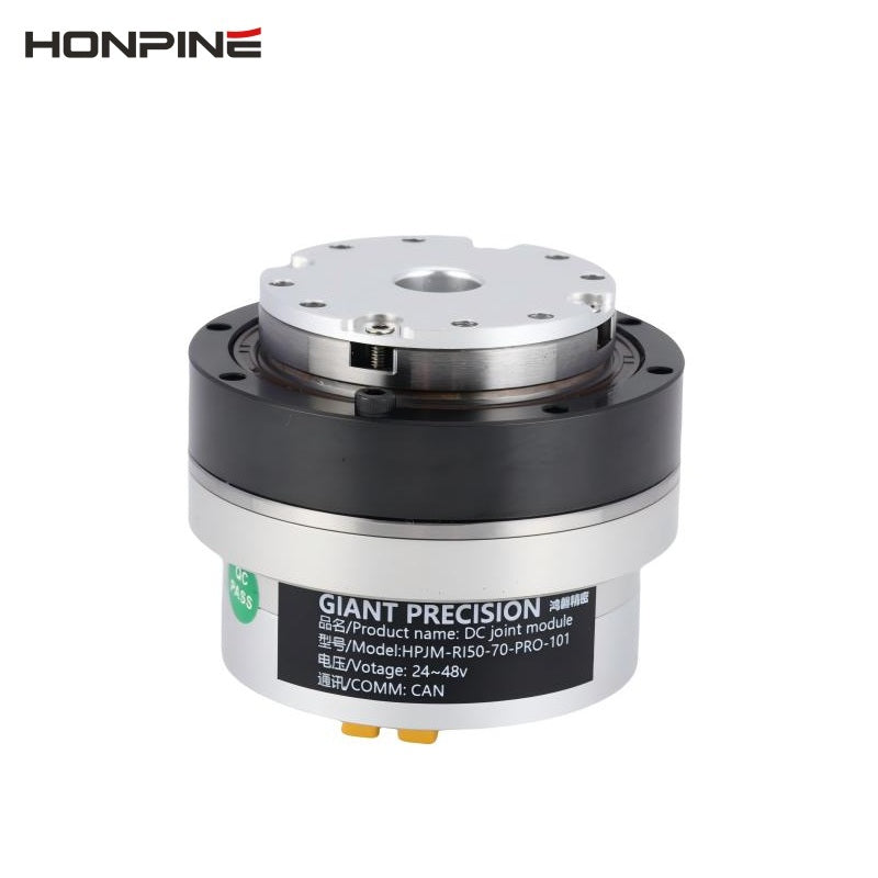 HONPINE HPJM-RE50-70-PRO Motor