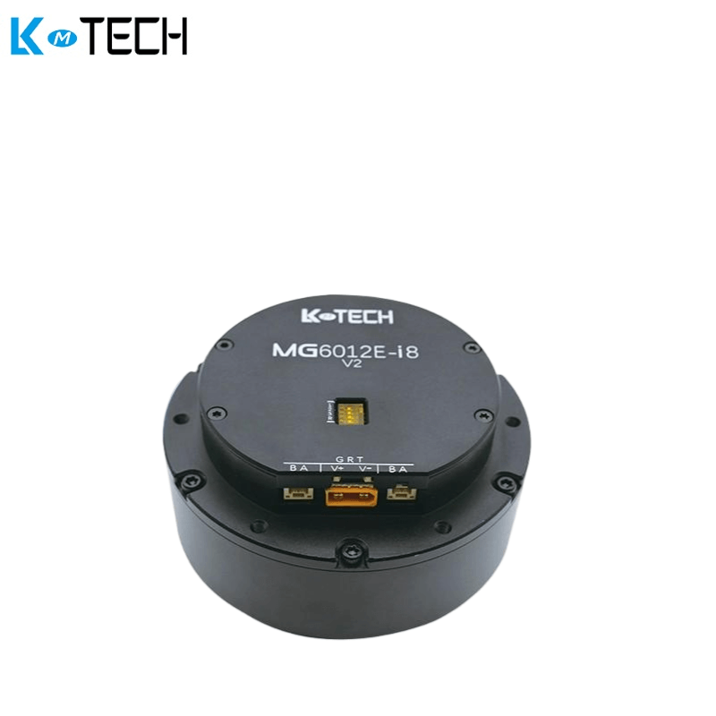 LKMTECH MG6012E-i8-V2 Motor – AIFITLAB