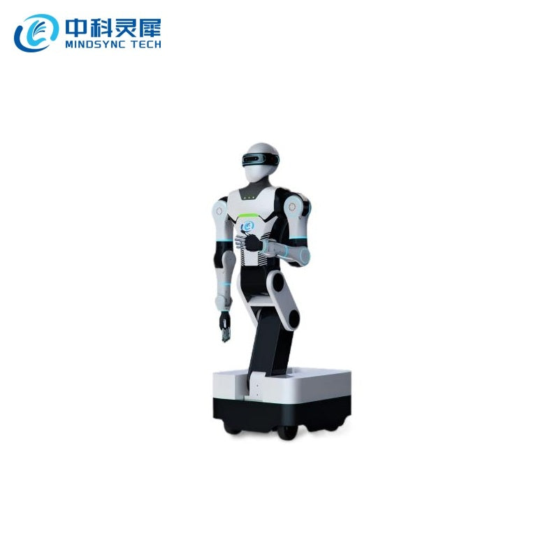 MINDSYNC TECH LSROBOT-001 Robot