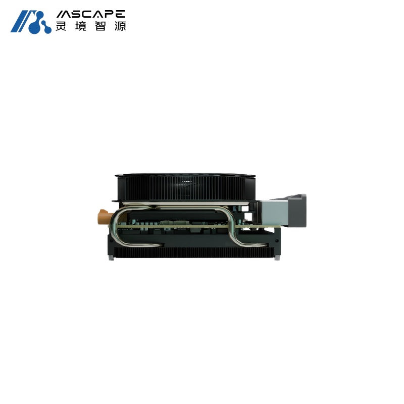 MSCAPE N1100 Brain