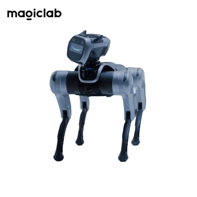 MagicLab MagicDog Robot