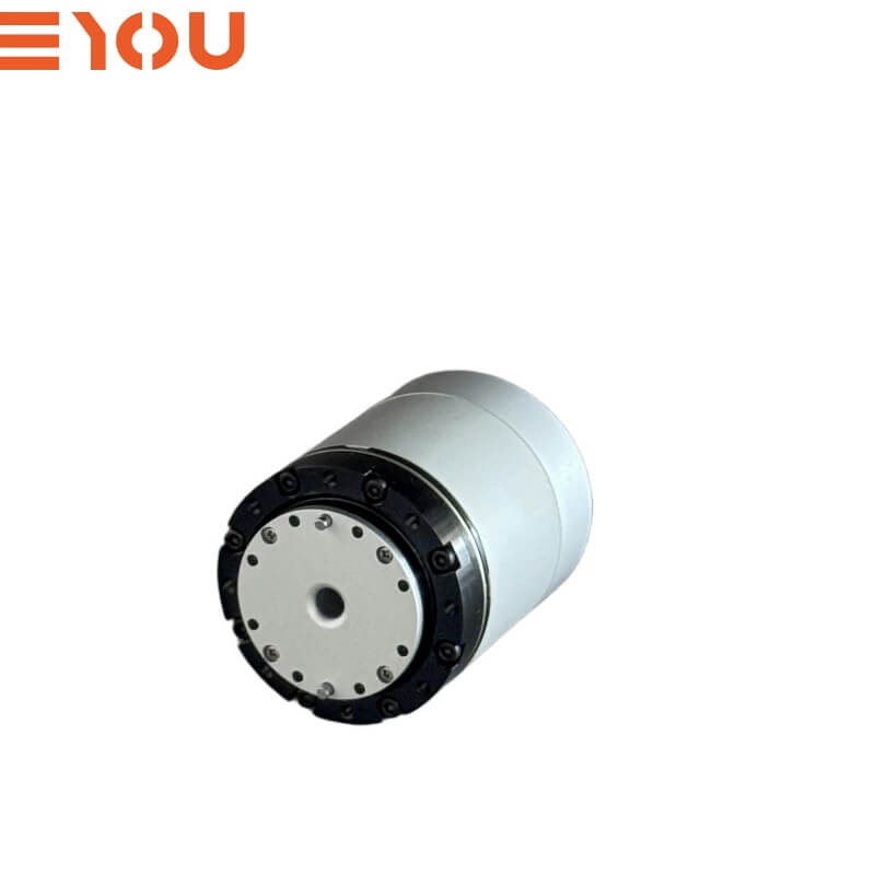 EYOU PH11 Motor