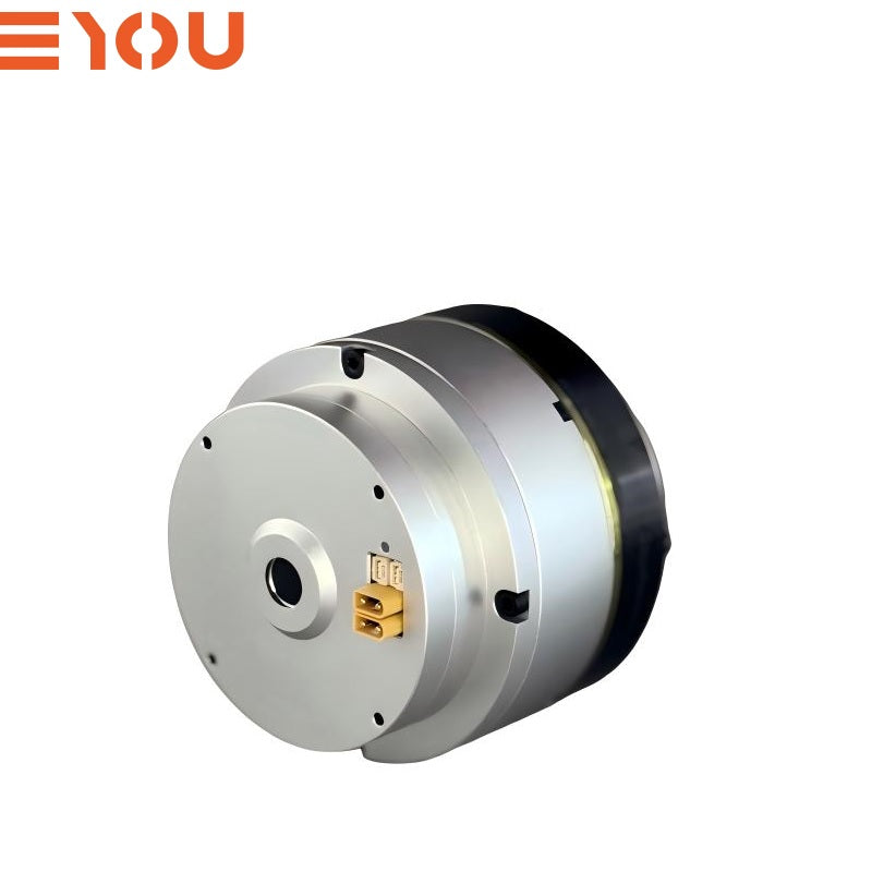 EYOU PH25 Motor