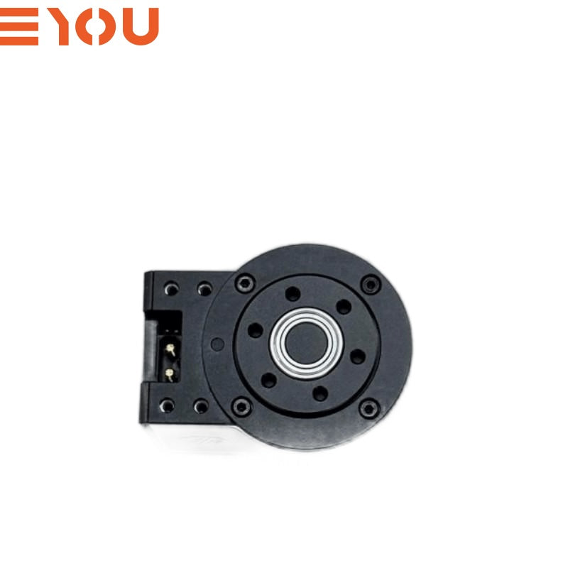 EYOU PP08 Motor