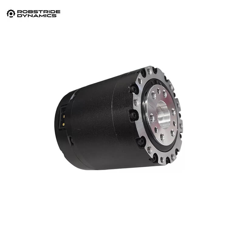 ROBSTRIDE 10P Motor