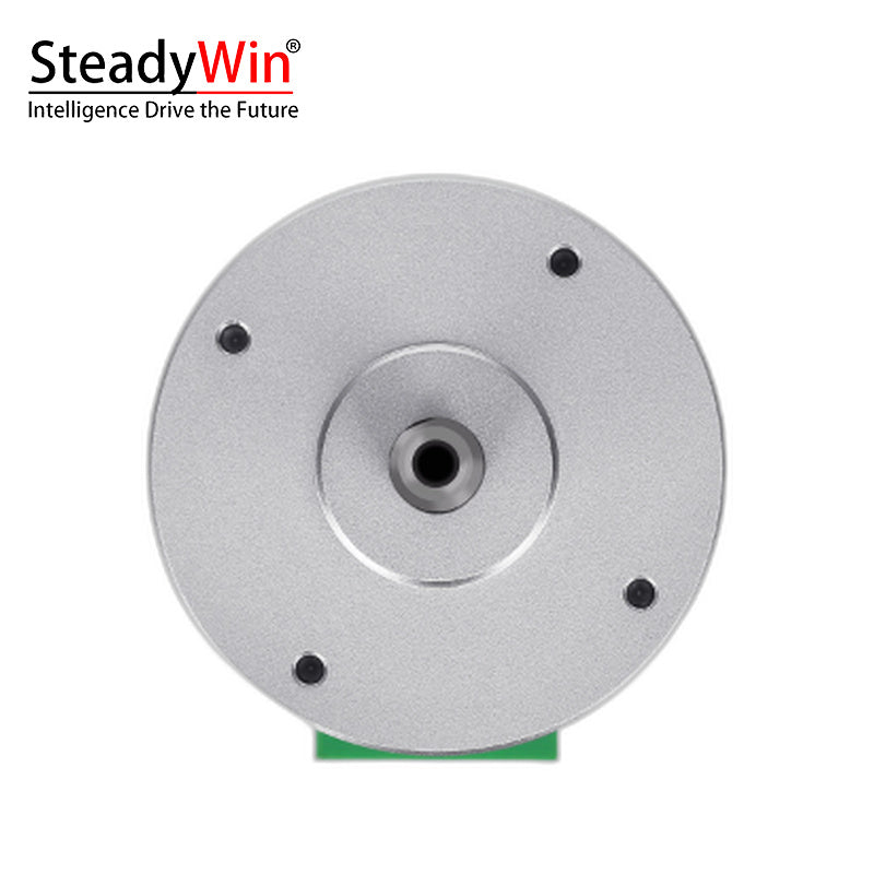 SteadyWin 4210AIO Servo Motor