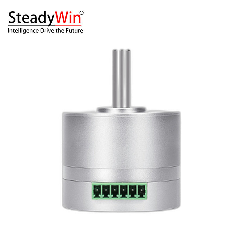 SteadyWin 4210AIO Servo Motor