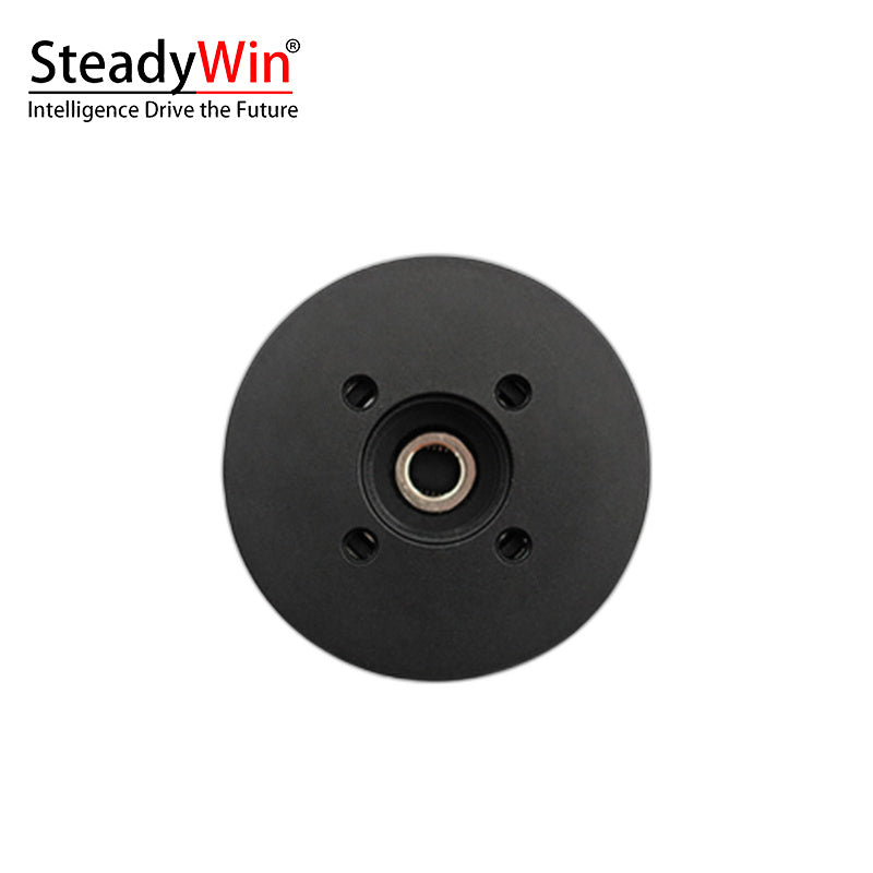 SteadyWin DD4015 Motor