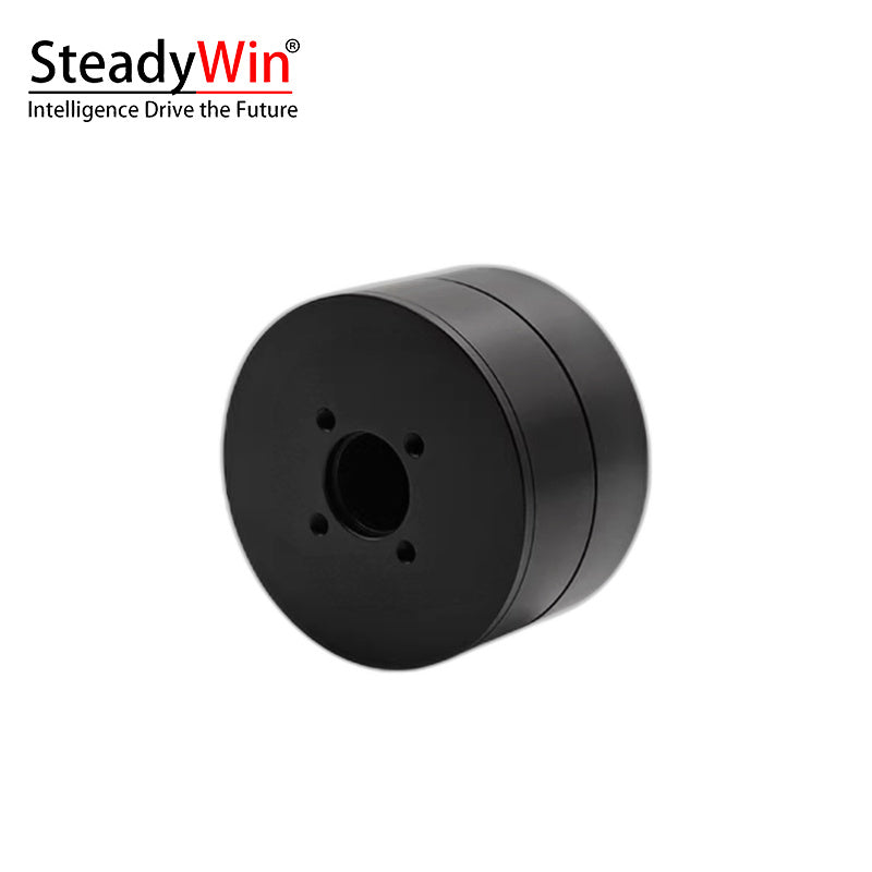 SteadyWin DD5015 Motor