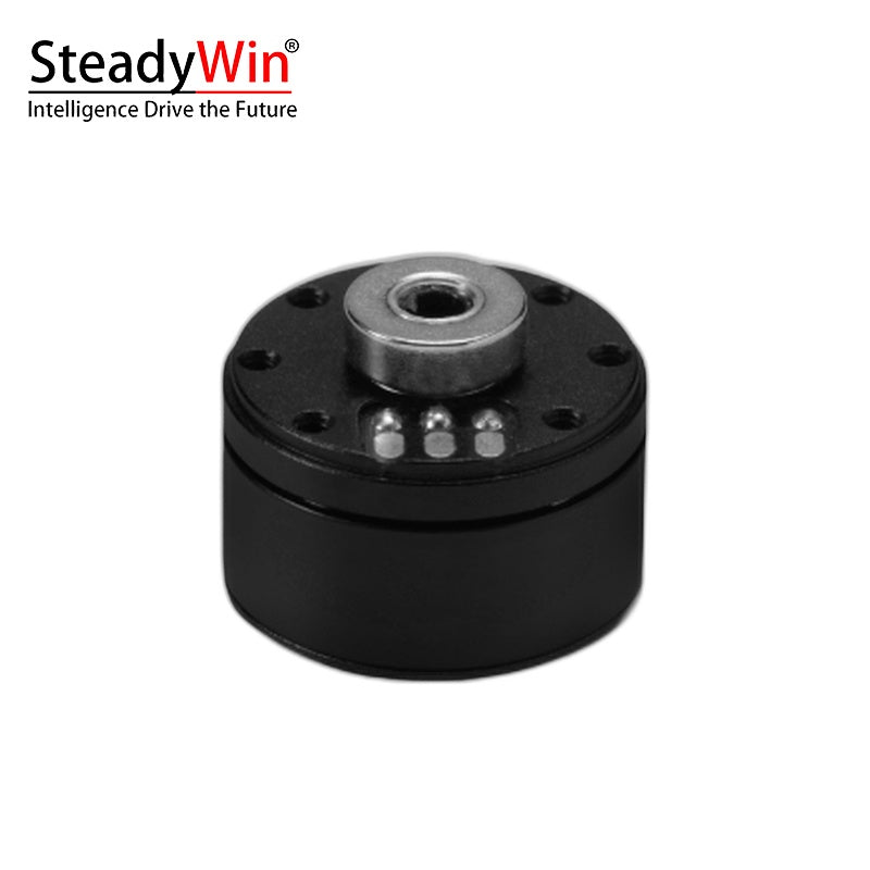 SteadyWin GB1806 Motor